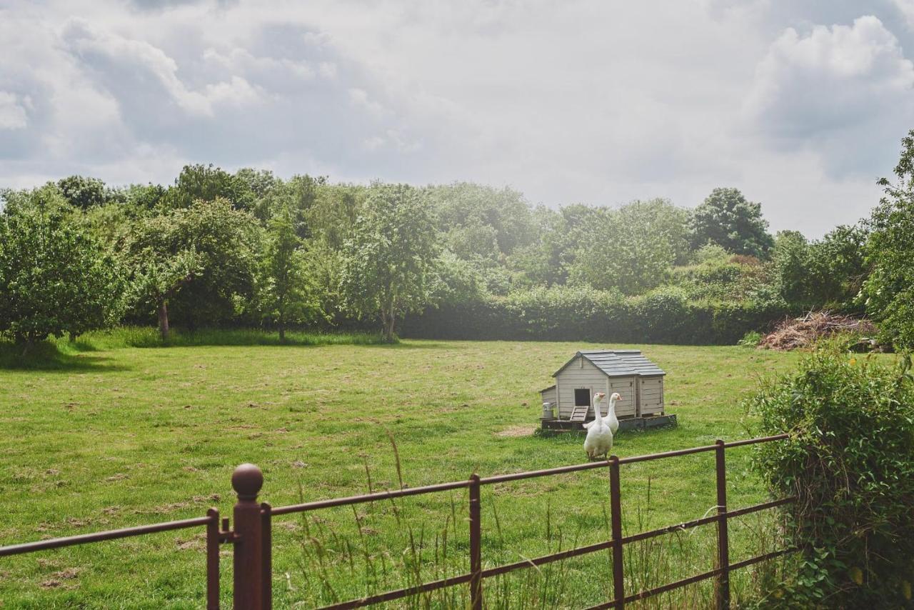 Apple Tree Cottage Beckford Zewnętrze zdjęcie